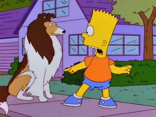 The Canine Mutiny